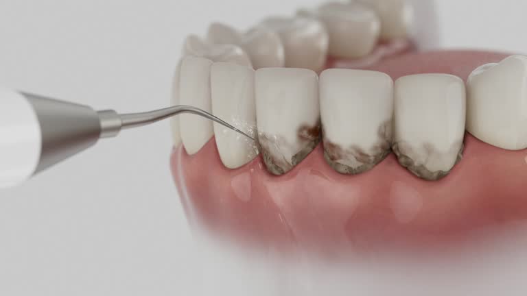 Reliable Dental contractor in Belle Isle, FL by Dentist Open Now